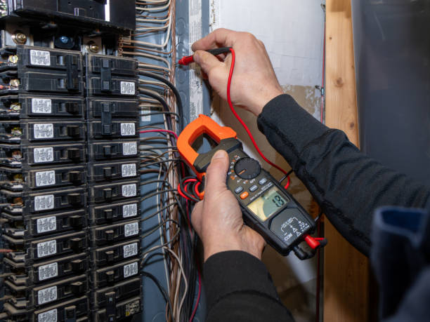 Best Electric Panel Repair  in Central City, IA